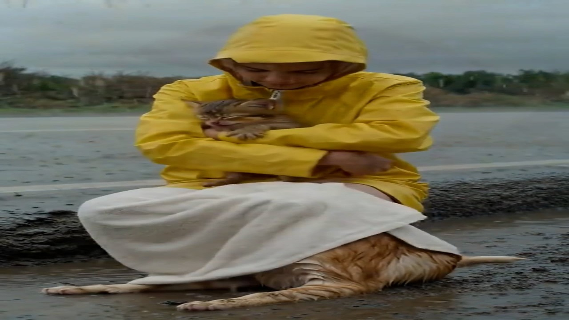 Full Story D1106011_reactions Mother Never Left Her Baby Even in Storm #AnimalRescue #EmotionalStory #CatRescue #SaveAnimals #HeartTouching