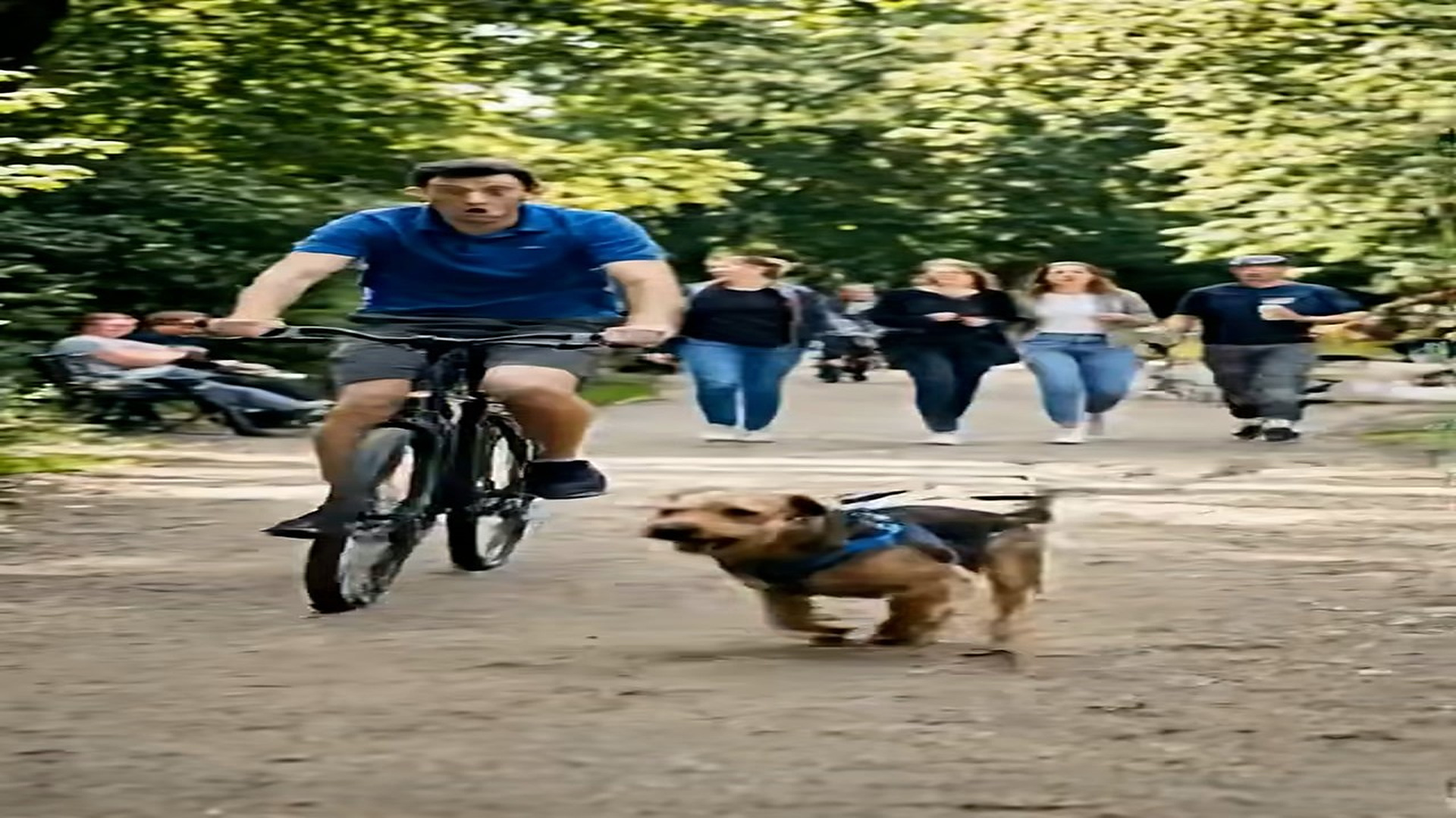 Full Story D1706025_reactions He didn stop until someone followed. #Suspense #FastPaced #HeroDog #EmotionalStory #ViralVideo Animal Safe Zo