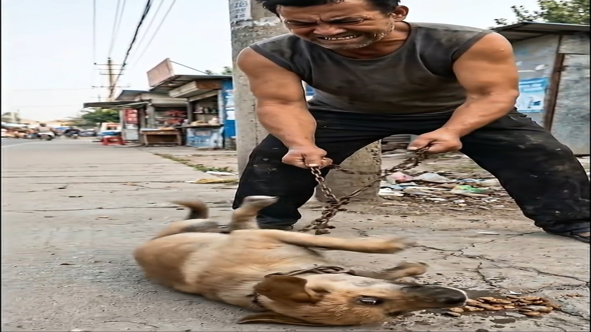 Full Story D1506084_Chains to Love Puppy Rescue Story