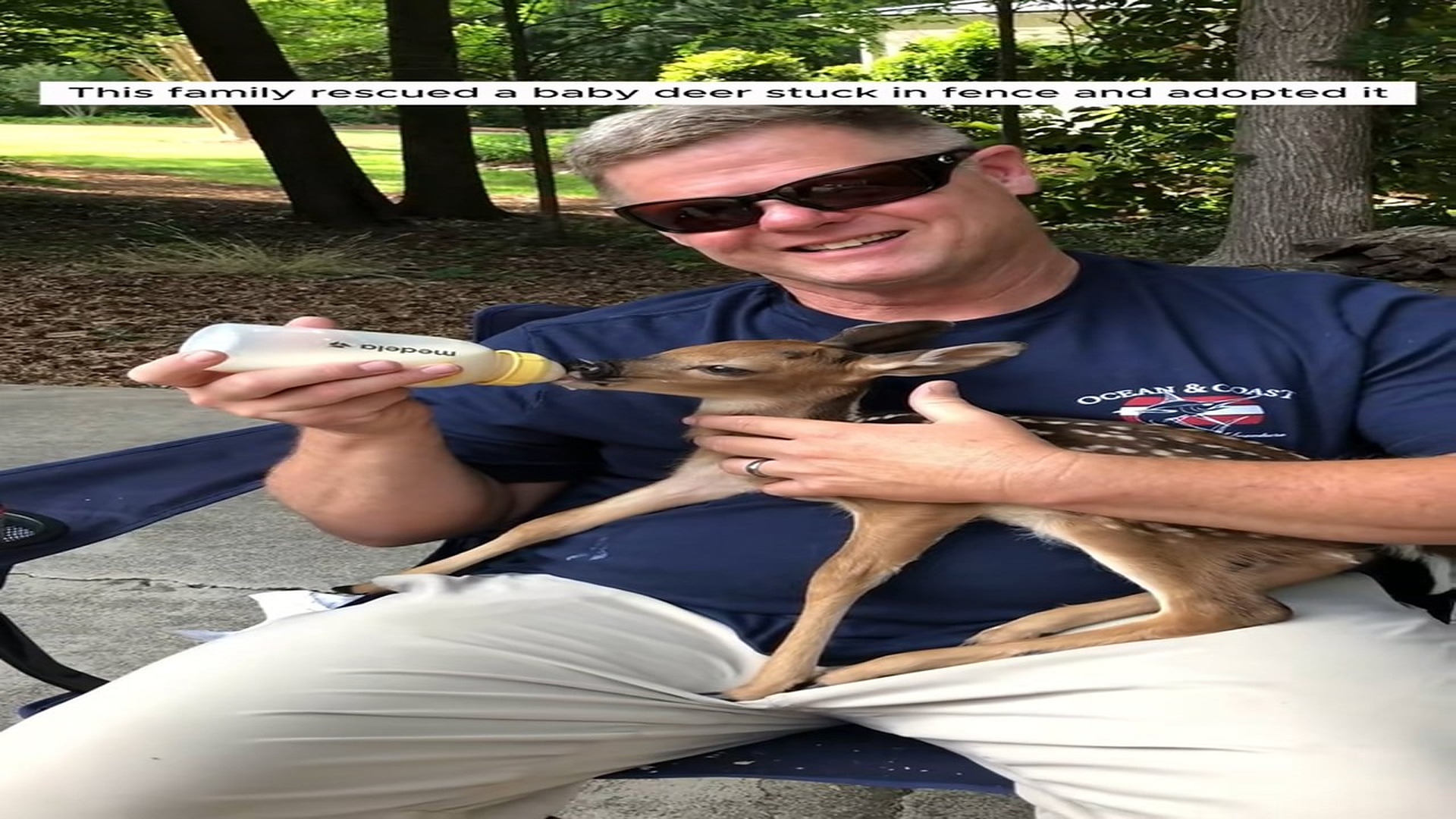 Full Story D2506025_family rescued baby deer stuck in fence adopted it #animal..._part 2