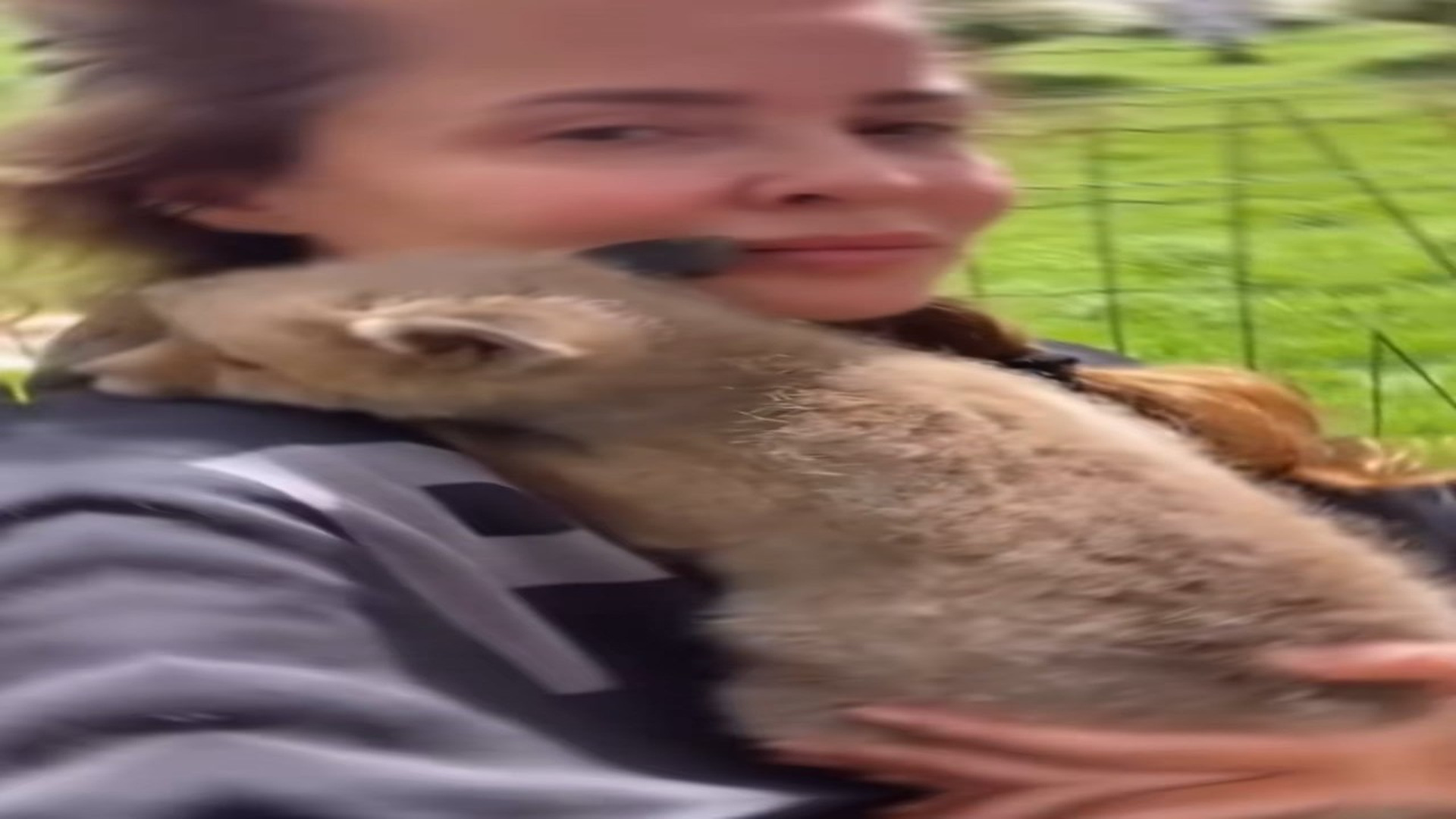Full Story D0707002_family found crying baby fox decided bring him home #anima..._part 2