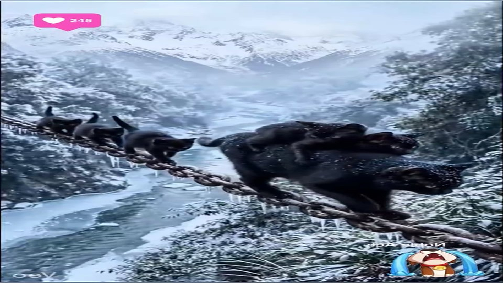 Full Story D2706066_reactions Brave Cat Leads Kittens Through Snowy Mountain Path #reels Would you trust mother cat to guide her kittens th